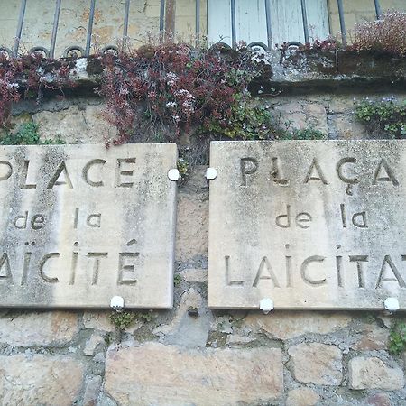 Au Pied Du Chateau - 5 A 11 Personnes - Baignade-Canoe-Piste Cyclable A 100 M Кастельно-ла-Шапель Экстерьер фото